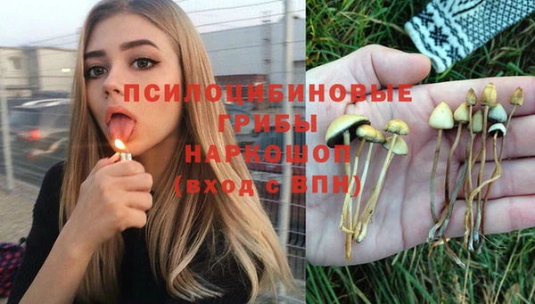 спайс Баксан