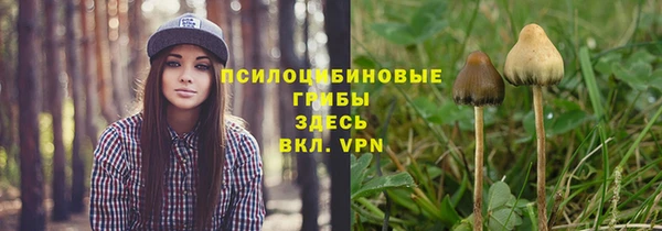 гашик Ростов