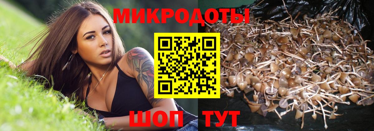 Галлюциногенные грибы мухоморы Нерюнгри